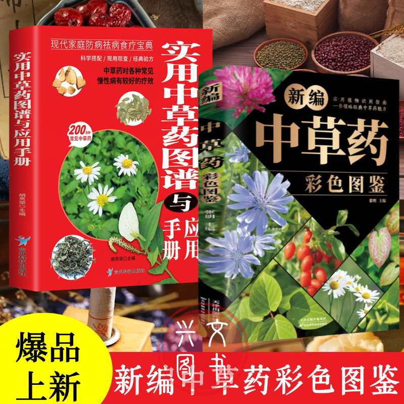 正版新编中草药彩色图鉴+中草药图谱实用植物识别手册 让你足不出户认清中草药药材植物彩图大全识别中草药中医入门中草药大全书籍