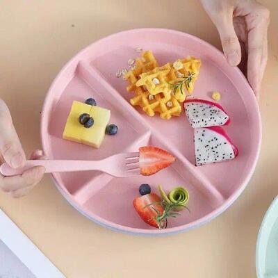 Divided Plates For Adults Round Dinner tray 3-Compartment