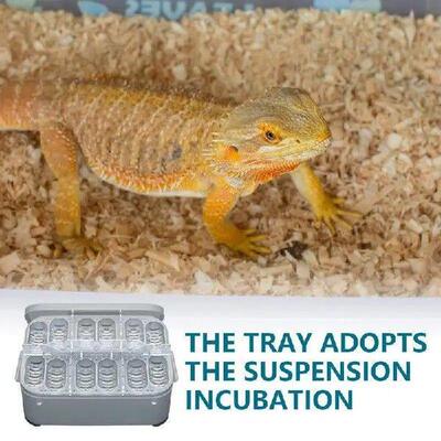 Pets Incubation Box DIY 12 Grids Hatch Box Snake Lizard