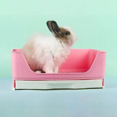 Rabbit Toilet Durable Plastic Potty for Small Animals