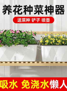 自动吸水长方形花盆阳台种菜盆大号创意懒人种植箱塑料花箱白色款