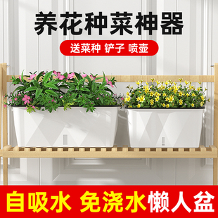 自动吸水长方形花盆阳台种菜盆大号创意懒人种植箱塑料花箱白色款