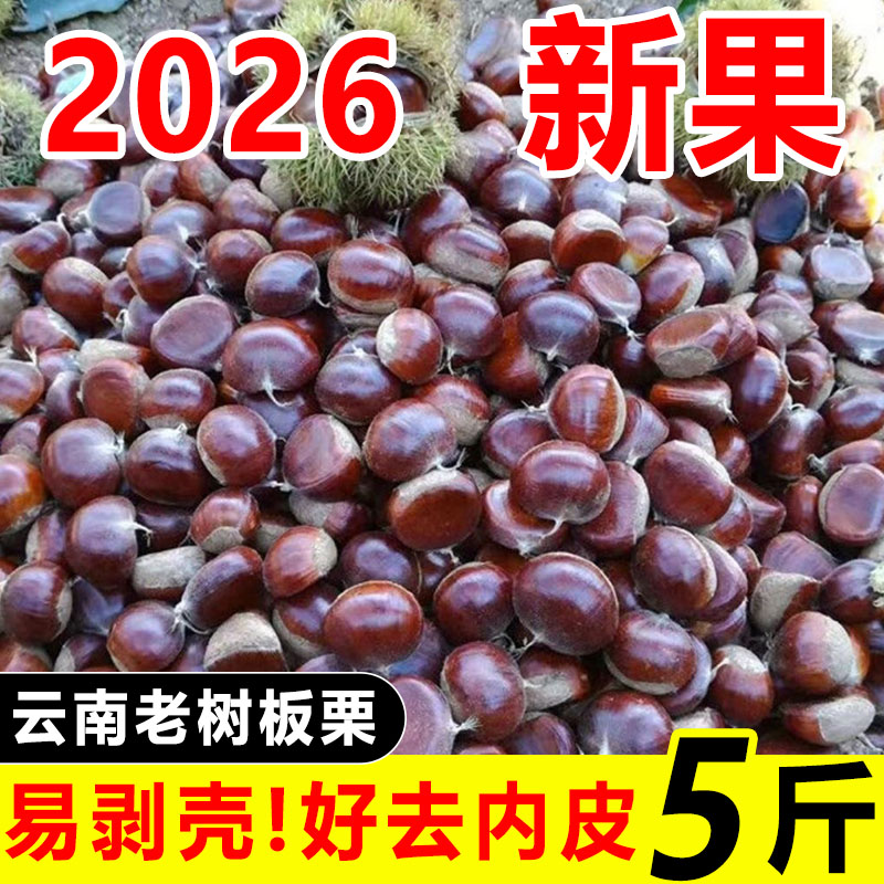 2026年新板栗新鲜现摘带刺壳生板栗子3斤5斤脆甜粉面老品种包邮