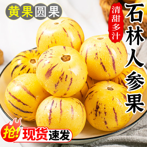 云南人参果水果10斤大果黄肉新鲜石林人叁果树上熟人生果圆果整箱