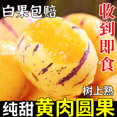 云南石林人参果9斤圆果当季新鲜现摘水果黄肉人生果整箱大果包邮