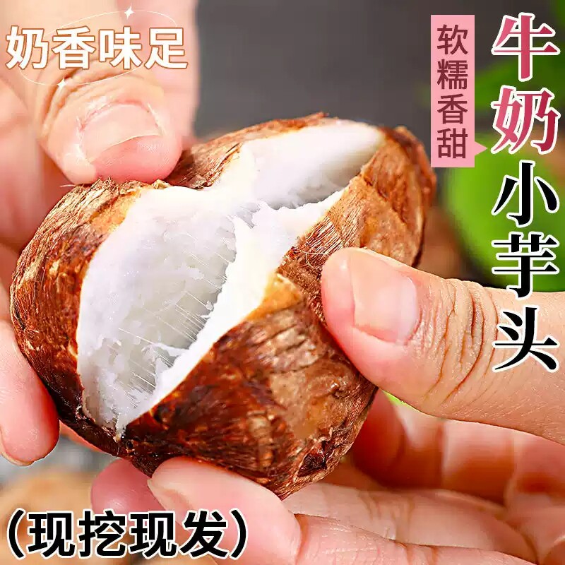 农家自种牛奶芋头软糯香甜小芋头现挖现发新鲜芋头产地蒸煮食用
