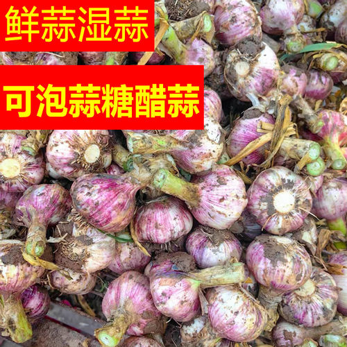 新鲜大蒜头5斤整箱包邮！