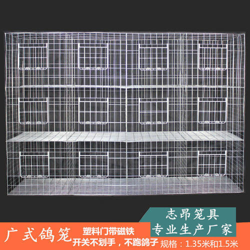 广式鸽笼肉鸽元宝鸽展示配对笼优质加粗横丝加密1.35米高