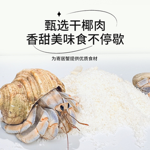 寄居蟹宠物零食烘制小椰片/椰蓉密封锁鲜小分装寄居蟹粮食蟹粮