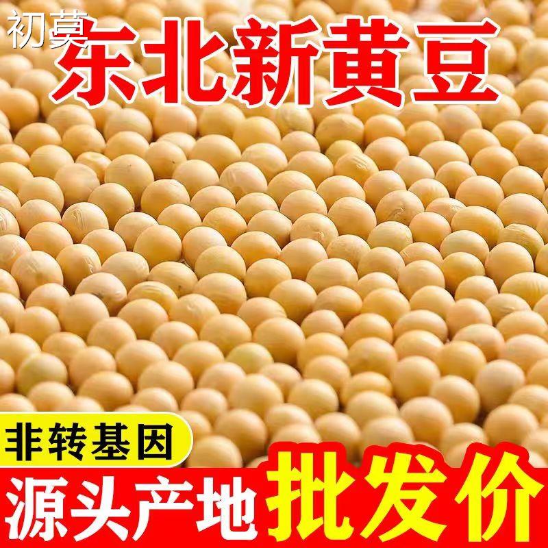 大黄豆新鲜大豆黑龙江大豆东北农家发芽豆浆原料营养