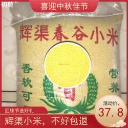 安丘辉渠小米春谷新农家黄小米月子米产妇米粥山东粘糯香小米5斤
