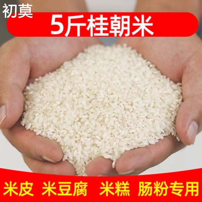 桂朝米贵潮米桂潮米厂家米豆腐肠粉凉糕专用大米糙米