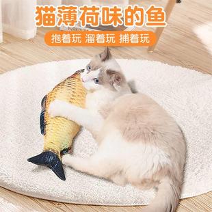 猫咪磨牙玩具真鱼逗猫玩具自嗨猫咪用品猫玩具幼猫玩具鱼逗猫棒汗