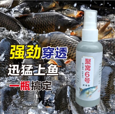聚窝6号聚窝块一瓶搞定同款钓鱼饵料鲫鲤草鳊青鲢鳙翘嘴聚鱼快