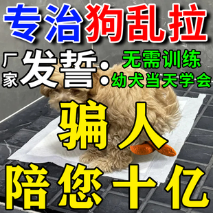 狗狗定点排便神器宠物不乱拉屎上厕所诱导剂引大小便尿垫定点训练