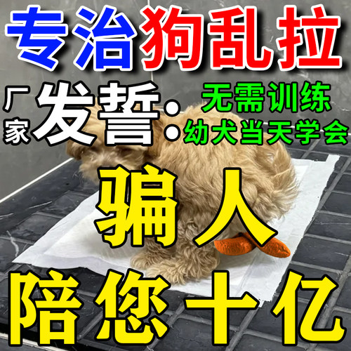 狗狗定点排便神器宠物不乱拉屎上厕所诱导剂引大小便尿垫定点训练