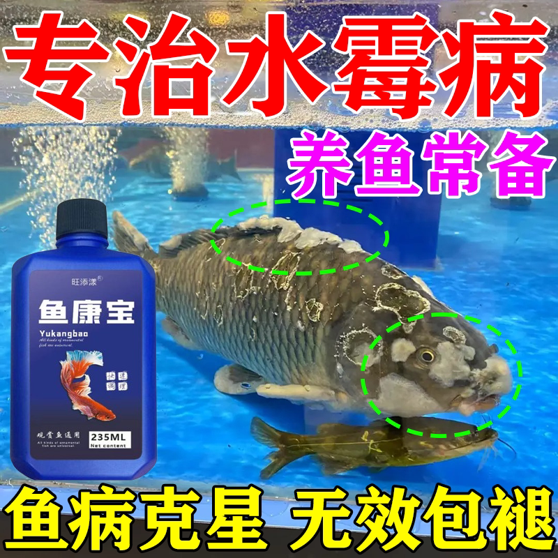 鱼病专用药治疗水霉白点鱼病专用药水霉病专治鱼药水霉鱼通用