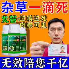 环泰铜除草烂根剂一扫光三年不长草强力除草烂根剂灭杂草专用神器