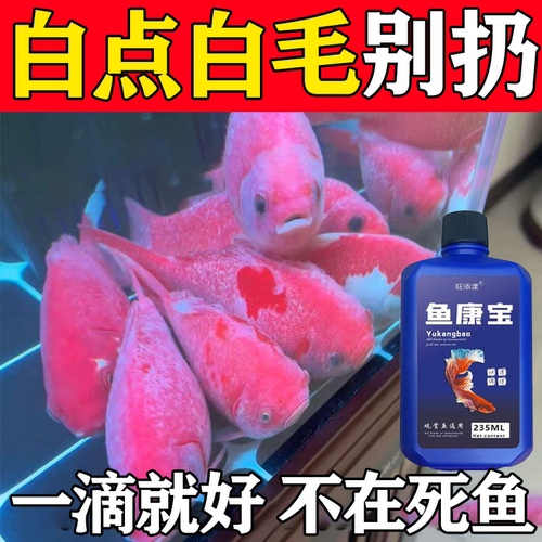 鱼康宝观赏鱼鱼药锦鲤金鱼白点净烂鳃霉菌长白毛鱼缸水族烂尾专用