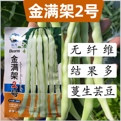 金满架2号无纤维结荚豆种子