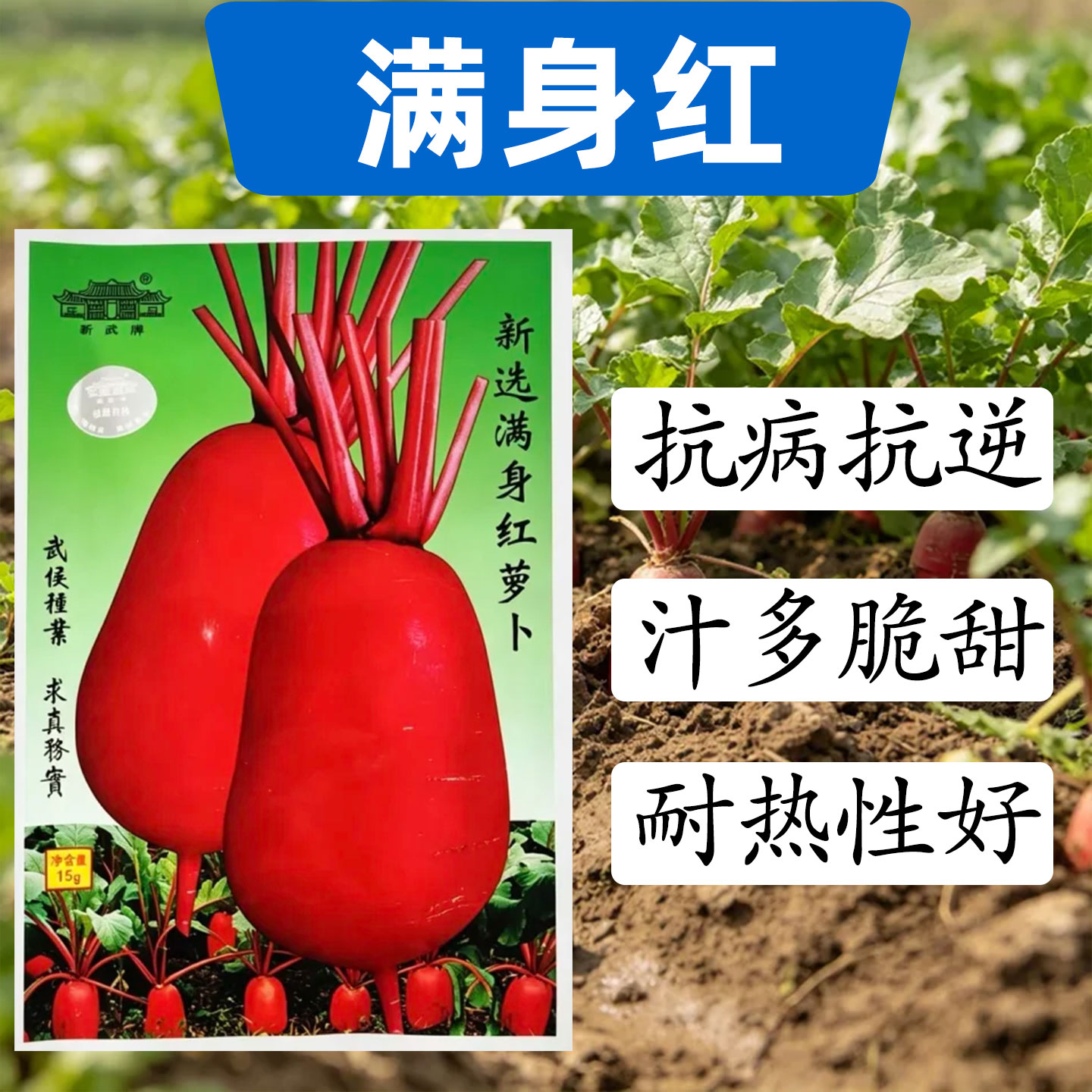 新武新选满身红萝卜种子高产抗病逆耐热多汁好吃优质蔬菜红萝卜籽