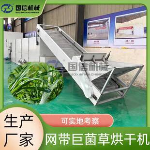 象草动物饲料牧草烘干机连续式甜象草烘干机网带巨菌草烘干设备
