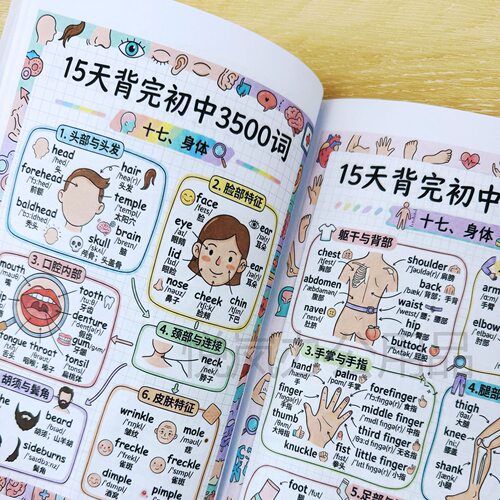 15天背完初中3500词英语