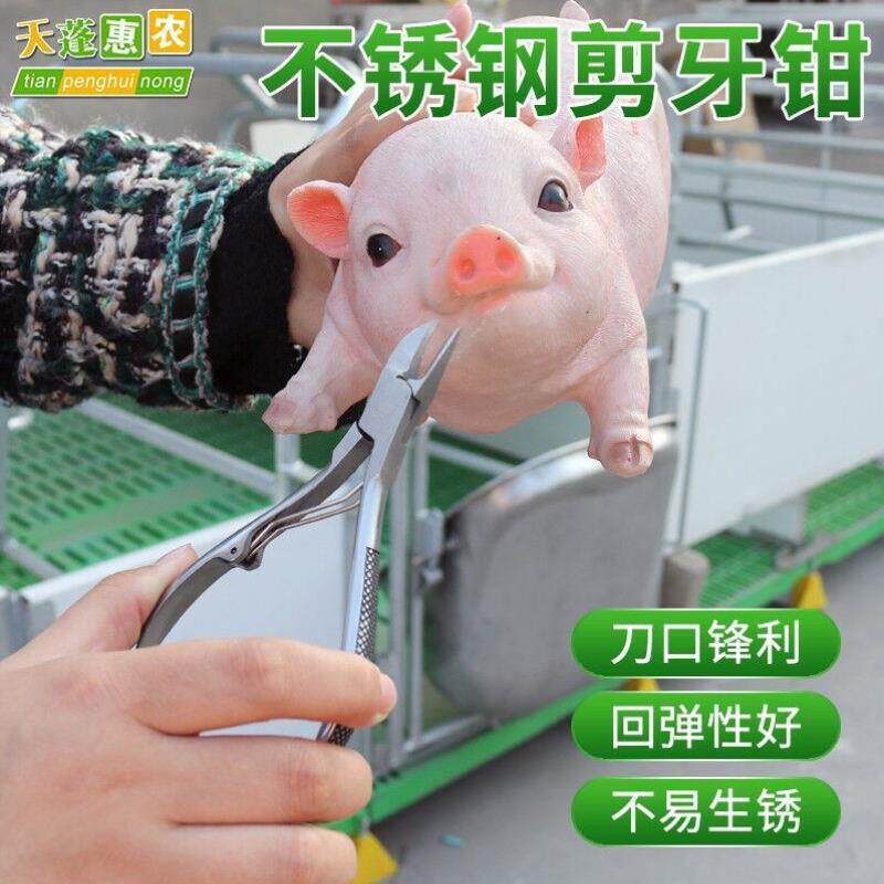 天蓬惠农猪用耳孔钳U型V型耳缺钳耳号钳小猪剪牙钳耳缺钳记号钳圆