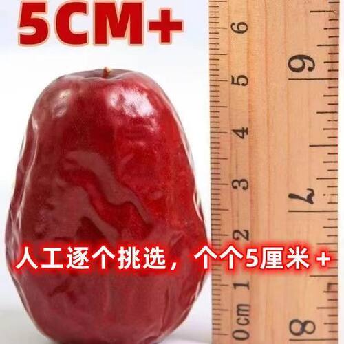 【特价3斤】新货正宗新疆和田大枣新鲜骏枣和田玉枣大红枣批发