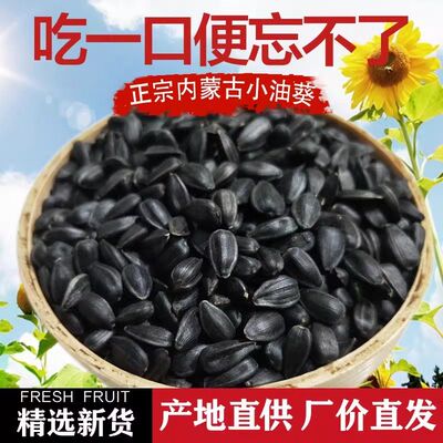 黑珍珠油葵瓜子炒熟原味小葵花籽散装生瓜子休闲聚会小吃零食特价