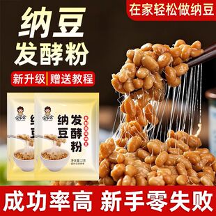 纳豆菌发酵粉黄豆发酵剂日本发酵菌粉商家用乳酸酸奶纳豆机激酶粉