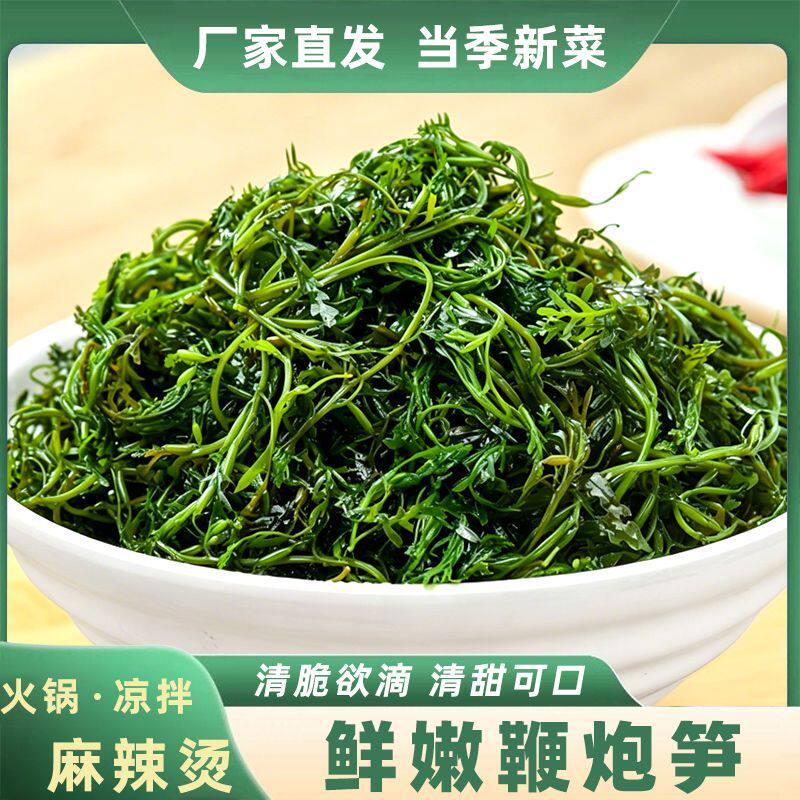 鲜嫩盐渍鞭炮笋餐饮商家用火锅食材绿色低卡健康煲汤低脂凉拌新鲜