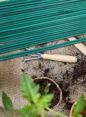 绿色竹签植物花卉防倒支撑杆室内外绑花固定支架插花杆金钱树单杆