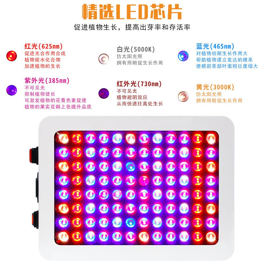 LED量子板植物1000wNWL植大物生长全光谱多肉补光灯灯棚灯温室种