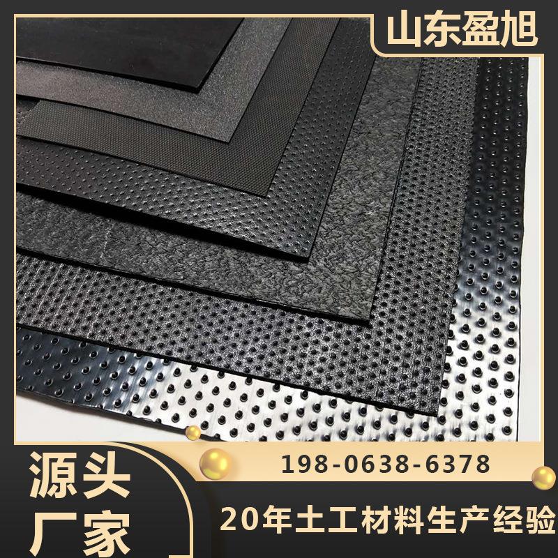 建房地基防潮防水HDPE土工膜 藕塘土工膜 小龙虾防逃膜阻燃