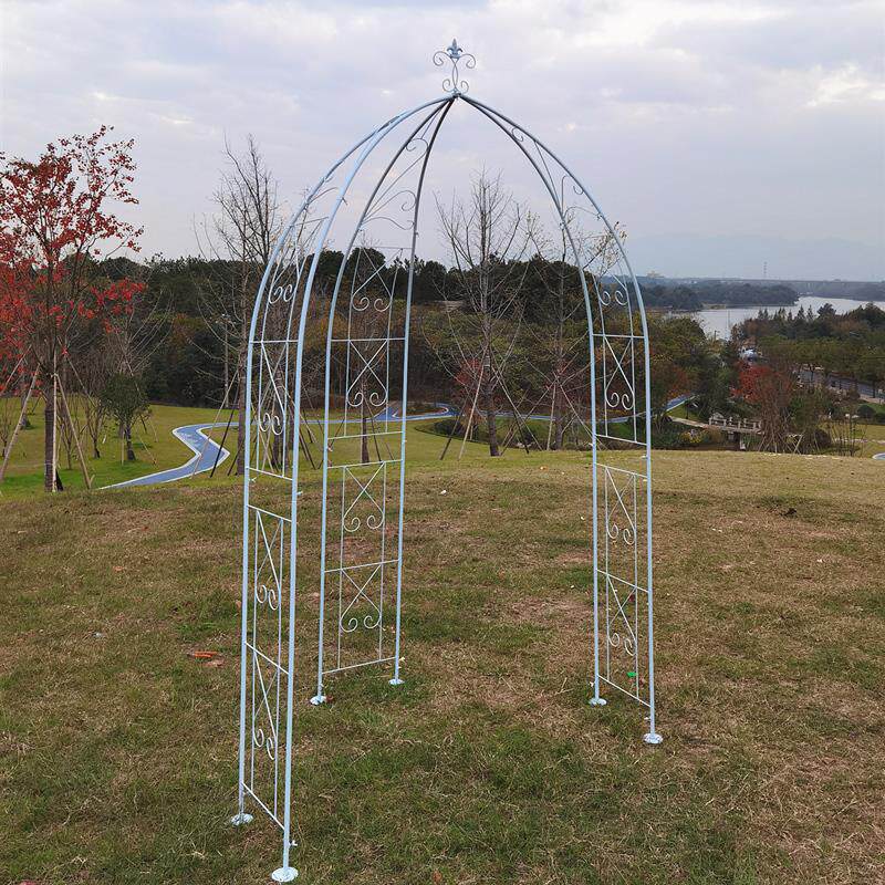铁艺葡萄架铁线莲月季拱门花架爬藤架子拱形攀爬植物支架户外庭院
