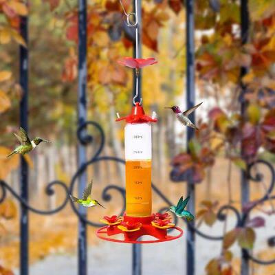 Bird Feeder Drinker Hanging Honey Water Bird Feeder