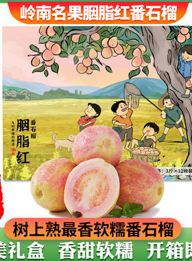 【飞翎谷】胭脂红芭乐香甜软糯