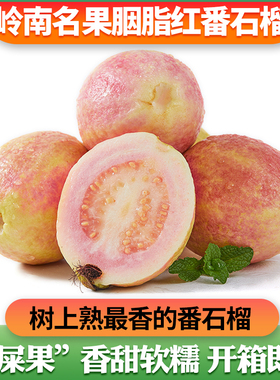 【增城胭脂红番石榴】红心芭乐软糯低糖鸡屎果孕妇水果顺丰包邮