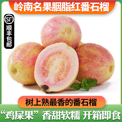 【飞翎谷】增城老树胭脂红芭乐