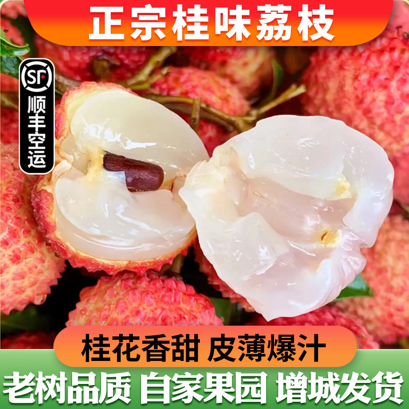 【锋荔】正宗桂味荔枝新鲜现摘糯米进奉糍味甜老树顺丰空运包邮