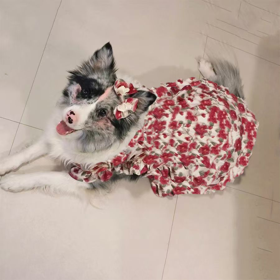 夏季薄款防掉毛夏装玫瑰公主裙