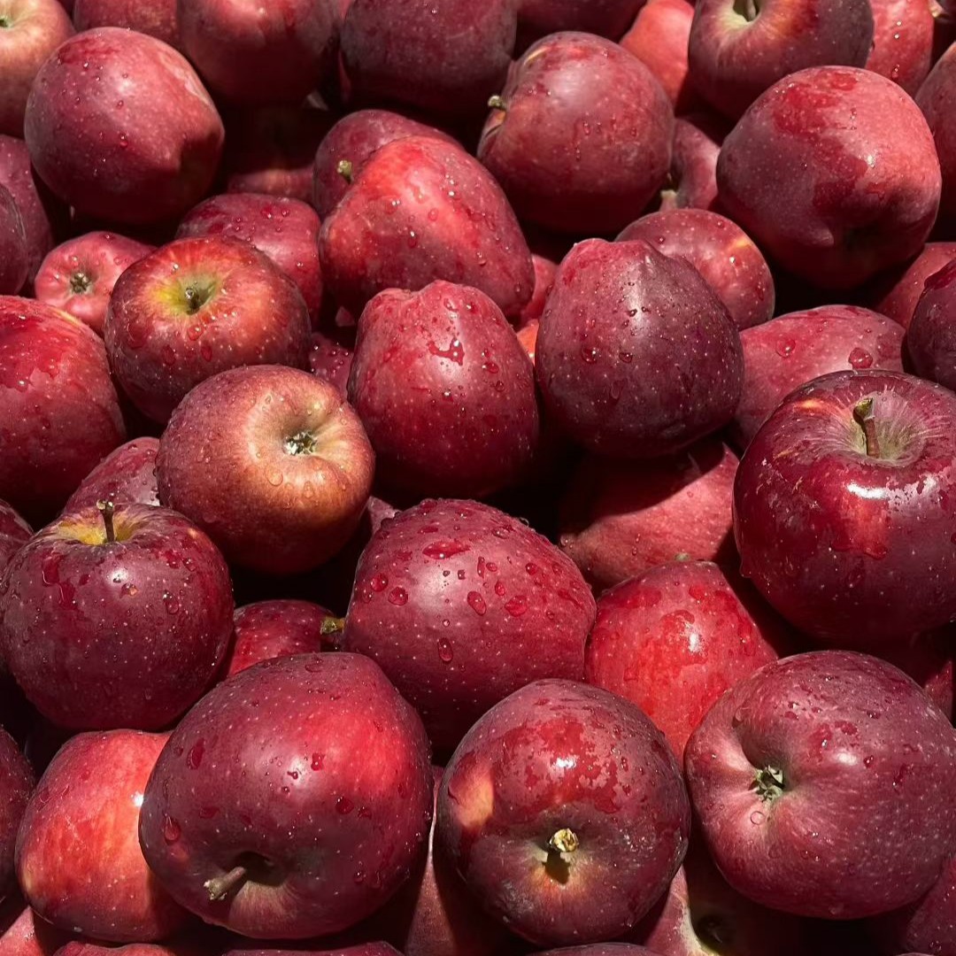 正宗甘肃天水花牛苹果脆甜粉面两吃特产精选当季新鲜水果产地直供,水产肉类/新鲜蔬果/熟食,苹果,淘宝优惠券,粉丝福利购,淘宝优惠卷