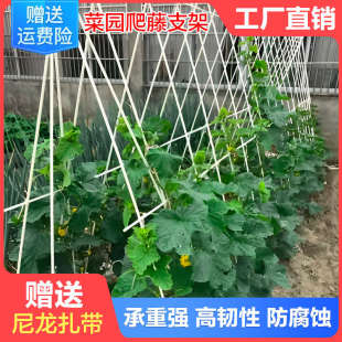 植物支撑杆支架拱门月季西瓜葡萄花柱黄瓜豆角丝瓜爬藤架花架拱形