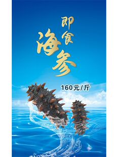 即食海参海报展板四物入味即食海参墙贴纸中国海洋出产KT板