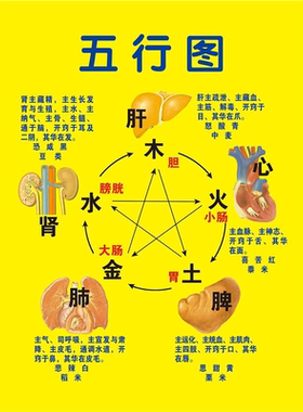 中医养生馆五行图解挂图挂画定制 人体五行五脏相生相克海报贴图