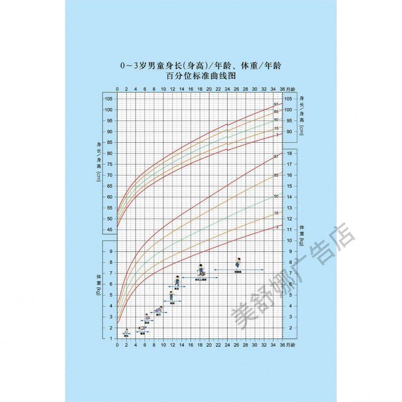 0-3岁男童身高体重百分位标准曲线海报体重表参考标装饰墙贴画