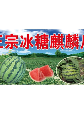 正宗冰糖麒麟瓜广告海报西瓜小推车摆摊夜市小吃装饰自粘海报定制