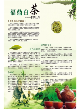 福鼎白茶海报展板福鼎老白茶白茶福鼎白茶的传说福鼎白茶简介墙贴