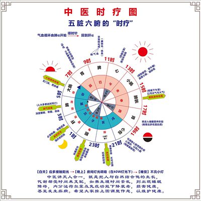 人体五脏六腑时疗图 墙贴 排毒调理中医金木水火土养生图 装饰贴